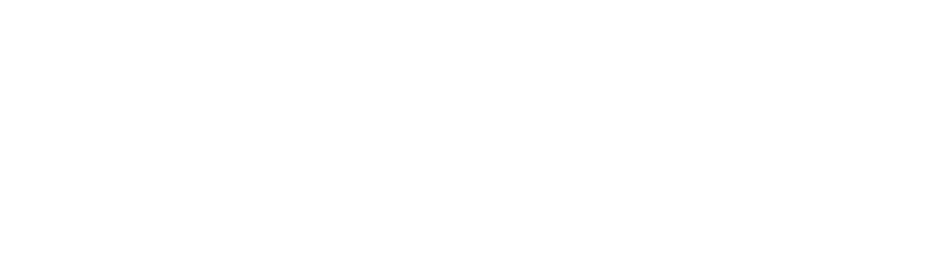 Brasnoxs